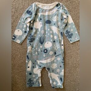 Winter Water Factory Onesie Bundle